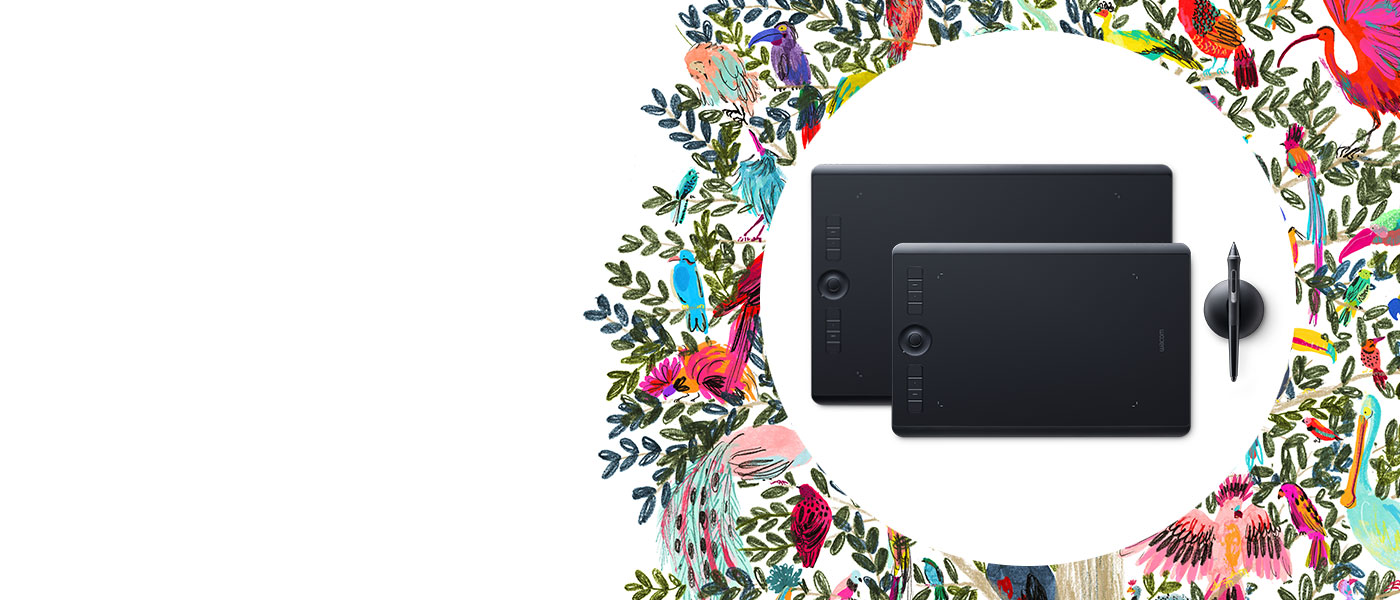 Intuos